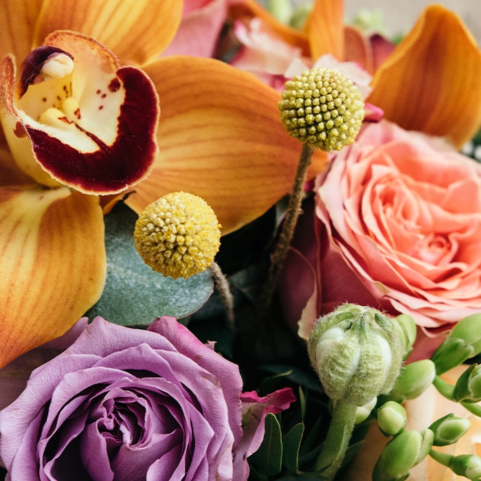 A vibrant bouquet features a mix of orange orchids, pink and purple roses, and yellow billy balls, nestled among green leaves and buds.