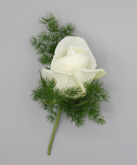 Rose Boutonniere