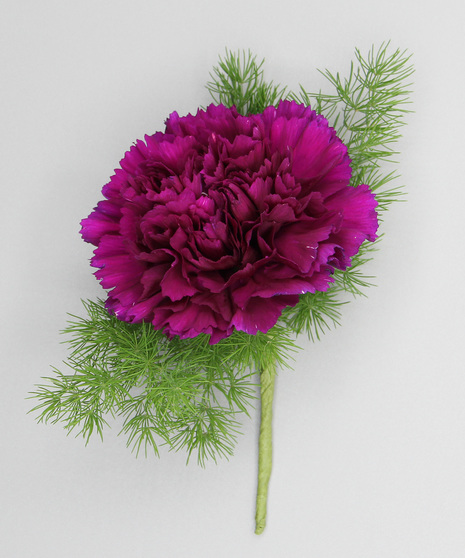 Carnation Boutonniere