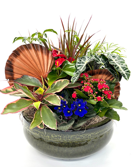 Planted in a green ceramic bowl, it features foliage, anthurium, an African violets, and kalanchoe, accented with a decorative rattan fan.