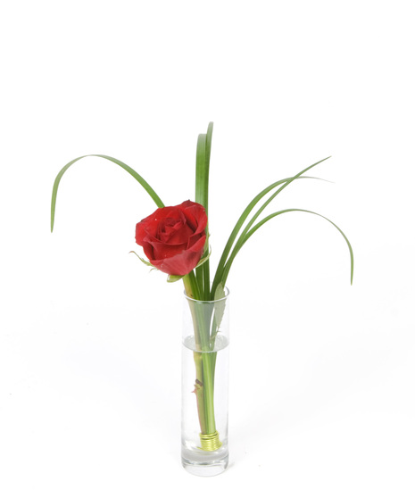 Single Rose in a Bud Vase