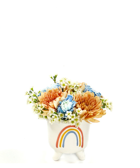 Bring a smile to someone's face with our rainbow pot filled with cremons,  carnations and accents. It's a fun way to spread joy and happiness.