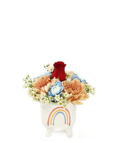 Bring a smile to someone's face with our rainbow pot filled with cremons,  carnations and accents. It's a fun way to spread joy and happiness.