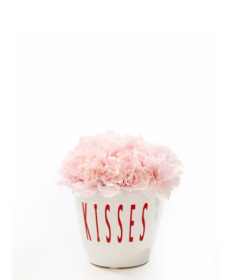 Kisses Silk Carnation Design