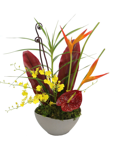 Tropical Dream features an exotic blend of tropical flowers and foliage, including bamboo orchid, oncidium orchids, and anthurium, complemented by ti leaves and accents. 