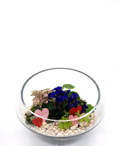 Valentine Terrarium