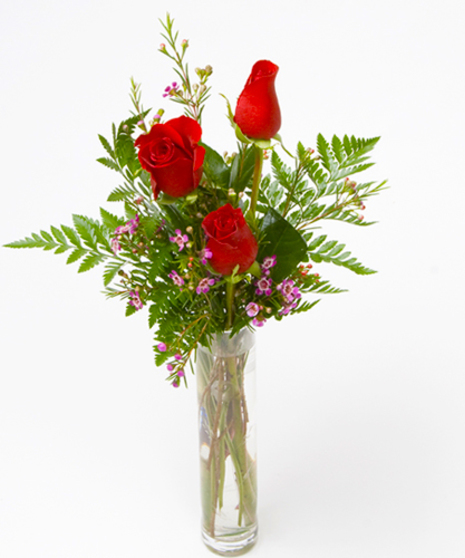 Three Roses in a Bud Vase