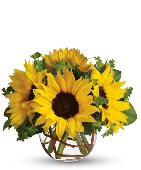 Sunny Sunflowers Bouquet Billings