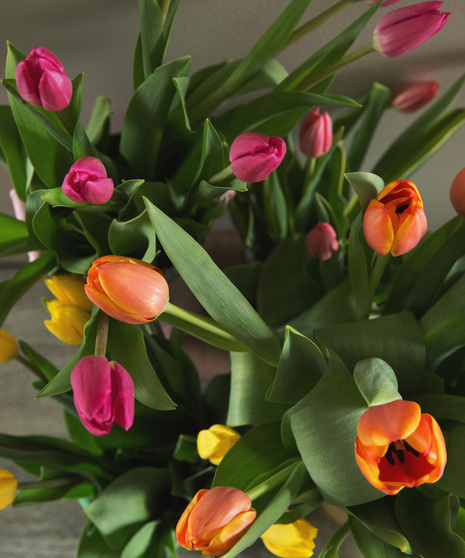 Tulip Bunches